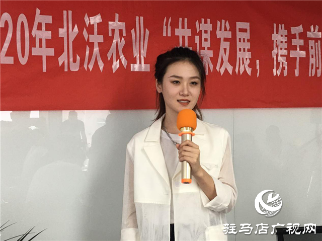图片14.png