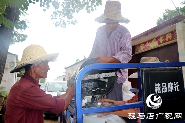 蜂蜜滞销 蜂农急盼买家