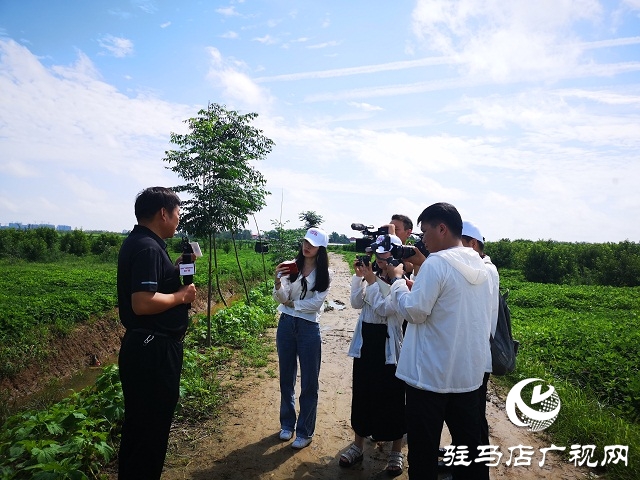 “全面小康·一个都不能少”网络主题宣传活动走进驻马店