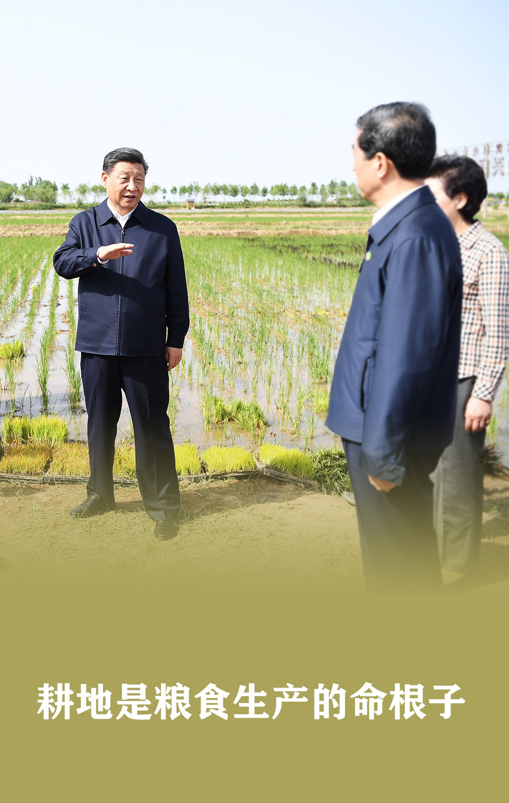 习近平：食为政首