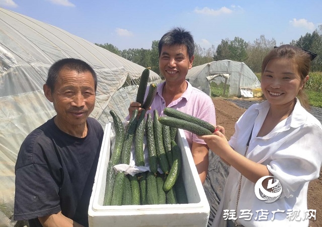 驿城区朱古洞乡：瞄准“餐桌”经济 带民脱贫奔小康