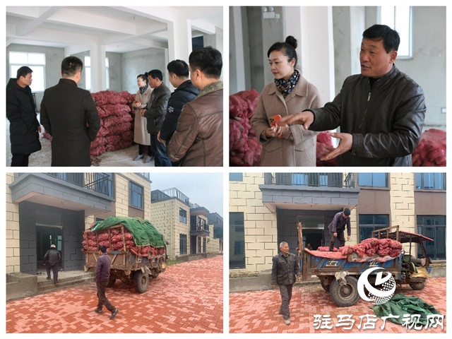 聚力助农 “薯”你有爱 驻马店市企业家协会爱心企业家用实际行动传递爱与温情