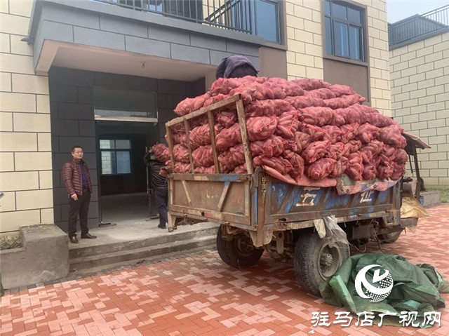 聚力助农 “薯”你有爱 驻马店市企业家协会爱心企业家用实际行动传递爱与温情