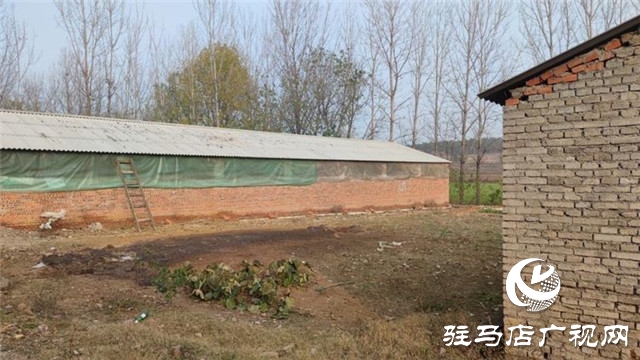 重获“新生”，泌阳县下碑寺乡曹庄村贫困户养猪走出致富路