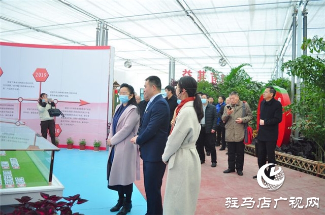 驻马店市西红柿产业发展现场观摩会在汝南县番顺西红柿产业园顺利召开