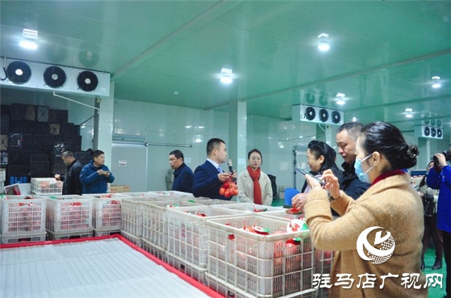 驻马店市西红柿产业发展现场观摩会在汝南县番顺西红柿产业园顺利召开
