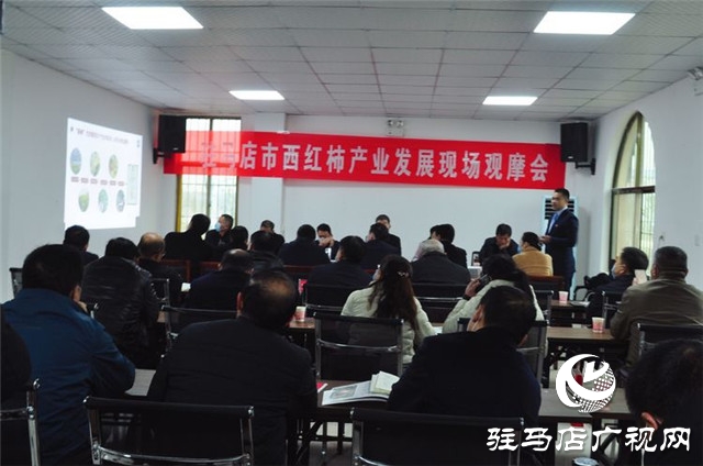 驻马店市西红柿产业发展现场观摩会在汝南县番顺西红柿产业园顺利召开