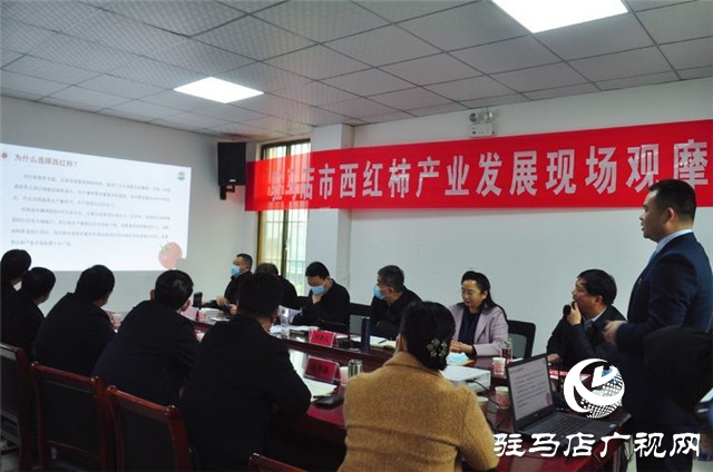 驻马店市西红柿产业发展现场观摩会在汝南县番顺西红柿产业园顺利召开