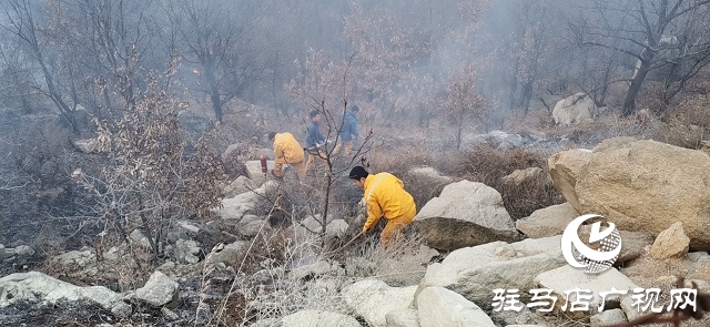 山火来袭 情况紧急 华润风能迅速扑灭