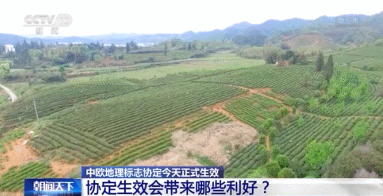 中欧地理标志协定今天正式生效 将带来哪些利好？