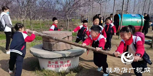 驻马店实验小学开展“ 爱绿护绿”义务植树活动