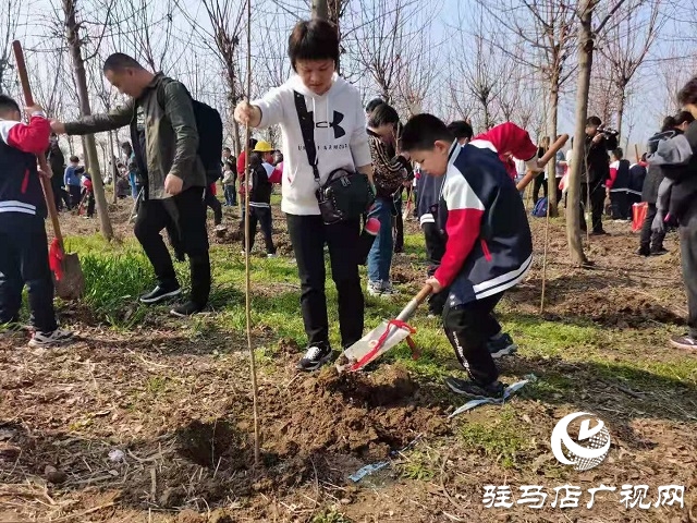 驻马店实验小学开展“ 爱绿护绿”义务植树活动