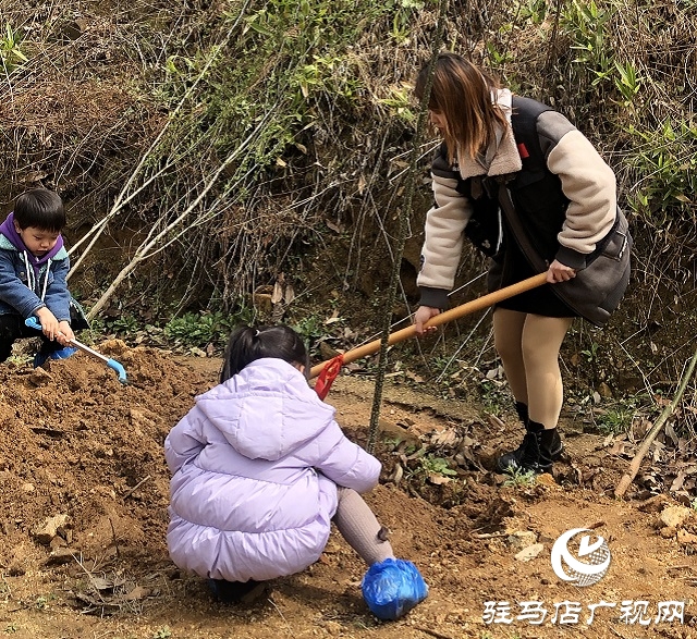 春分植树添新绿 车友齐心美家园