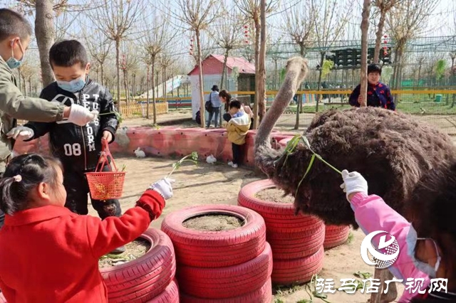 苹果树幼儿园赴世外桃源教育农场开展春季游学