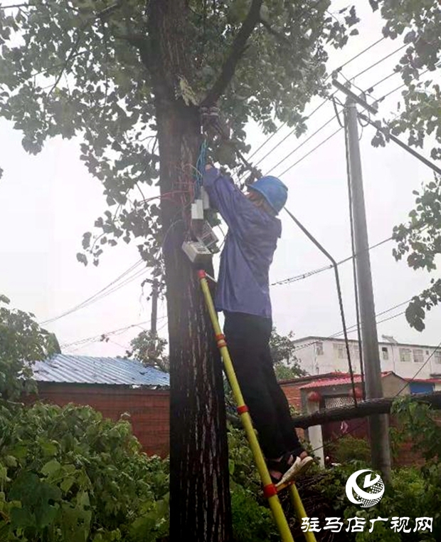 正阳县彭桥乡党员干部冒雨守护群众安全