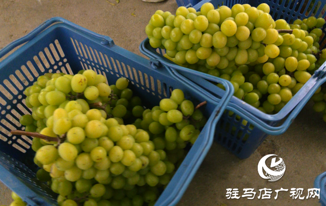 驻马店居然之家积极帮助农村合作社复工复产