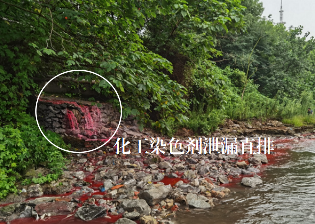 中央环保督察集中曝光！长江附近“牛奶水”