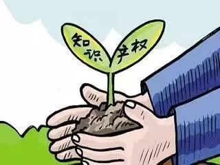 “保护知识产权就是保护创新”：办好一个案子，帮扶两家企业