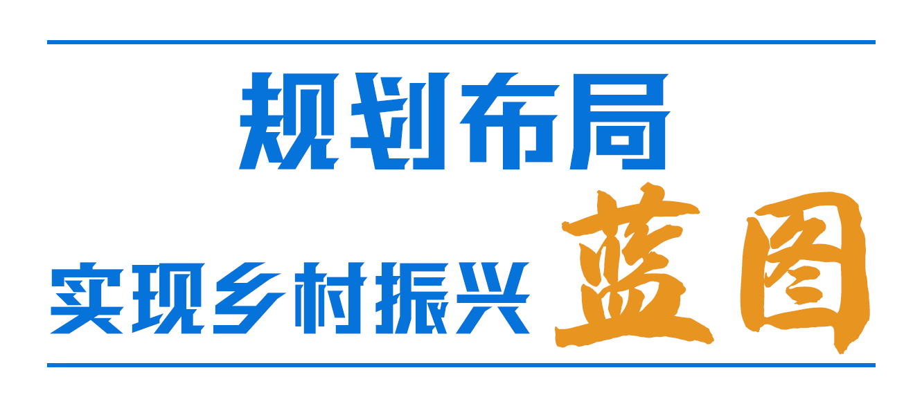 习近平心中的“三农”画卷