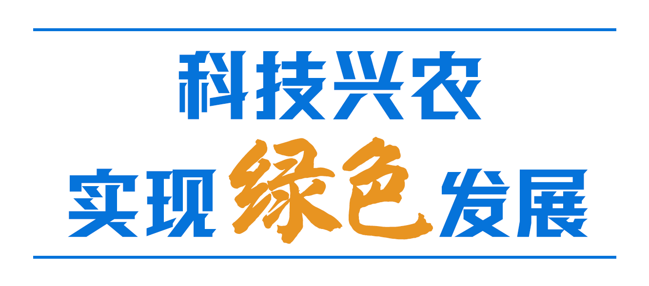 习近平心中的“三农”画卷