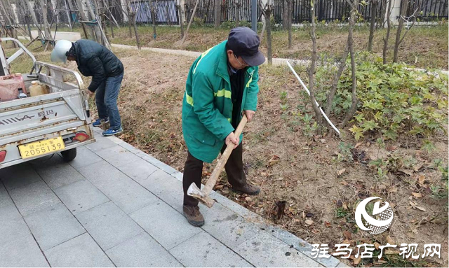 拆除遗留金属桩 及时消除安全隐患