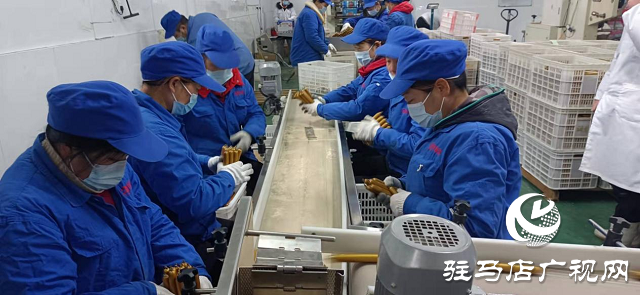 河南伊顺苑：加班加点   抗“疫”生产两不误