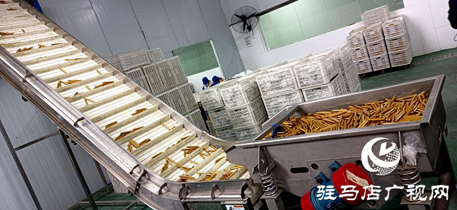 河南伊顺苑：加班加点   抗“疫”生产两不误