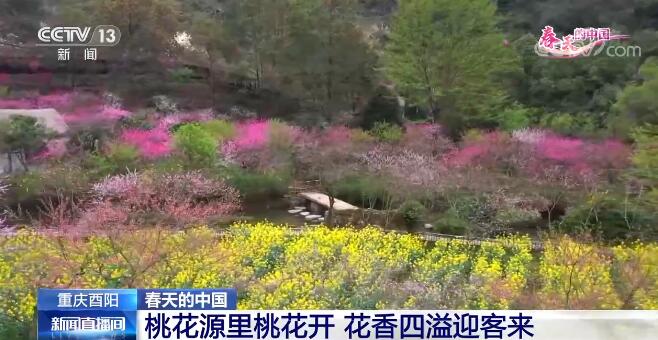 春天的中国 | 以花兴旅 “花海经济”推动乡村振兴