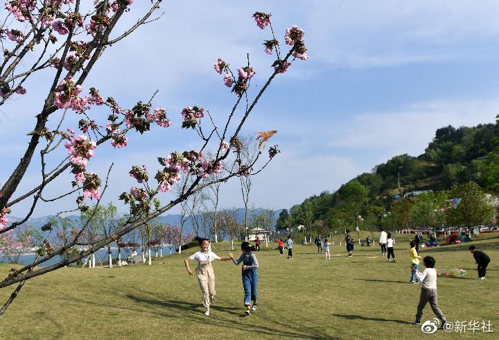 清明节假期国内旅游出游超7500万人次