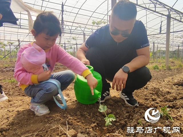 遂平杰美庄园：认养早春西瓜 见证小生命成长