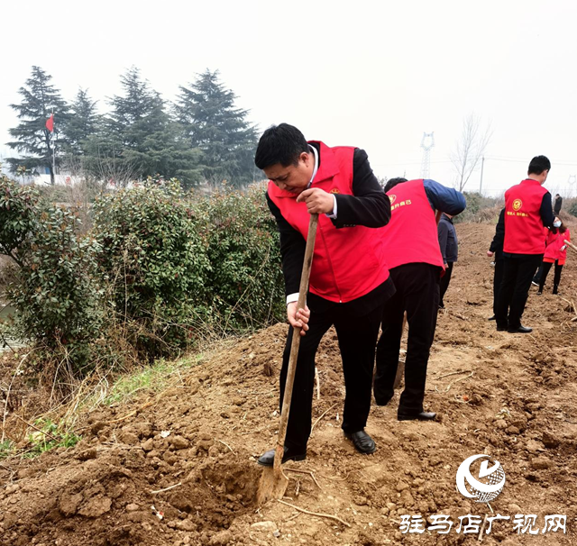 驻马店市招办到平舆县玉皇庙乡开展2022年义务植树活动 