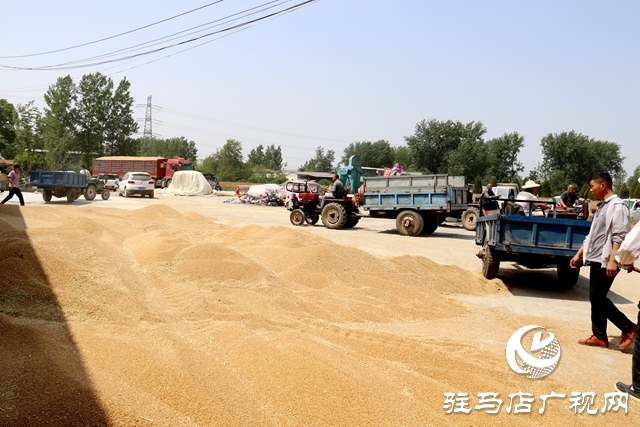 中央储备粮驻马店直属库：做好腾仓收购准备 确保粮食颗粒归仓