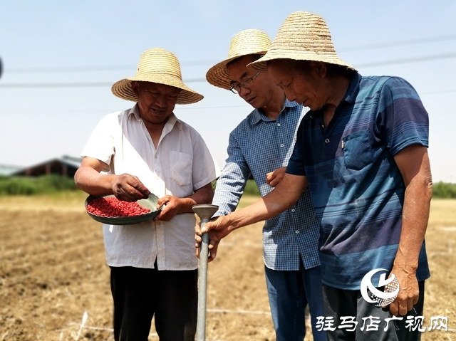 正阳：多部门联合做好花生播种气象保障服务