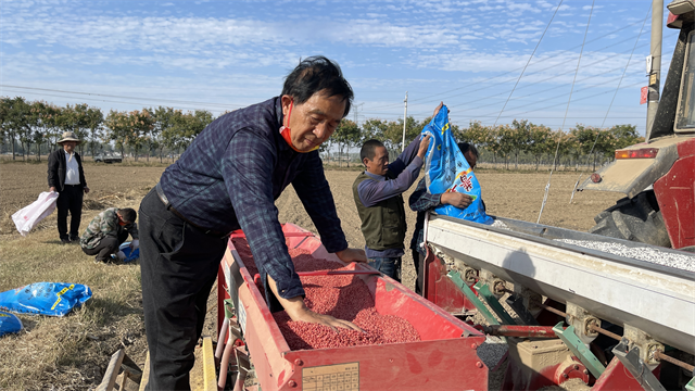 不误农时忙秋种 小麦播种正当时