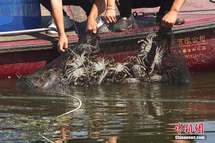 预约不上、缺斤少两……今年你躲过蟹券的坑了吗？