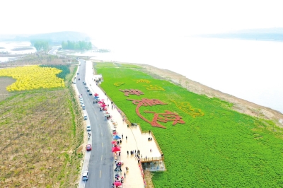 河流润养两岸 好阳河湿地荡起入黄最美“生态涟漪”