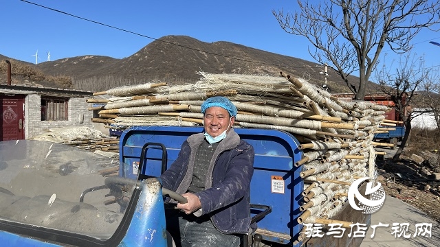 驻马店：板桥镇粉条加工 引领乡村振兴