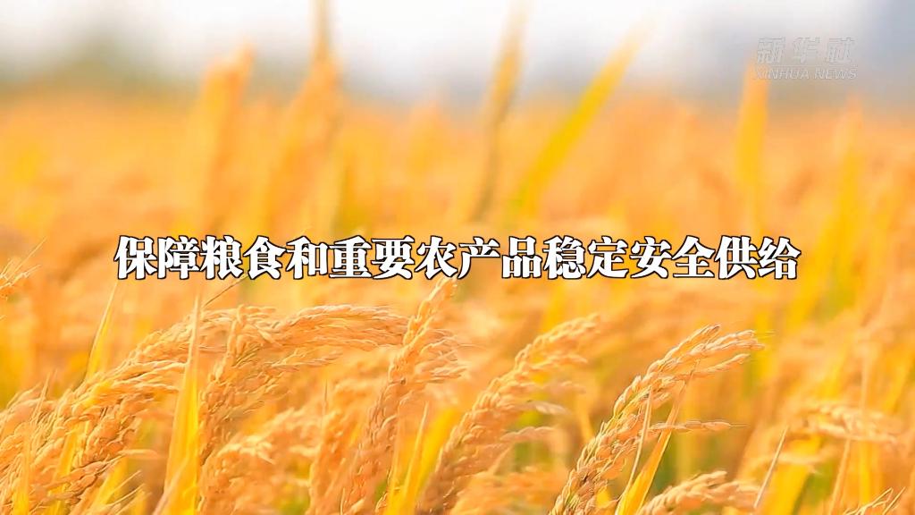 从中央农村工作会议看2023年“三农”工作这么干