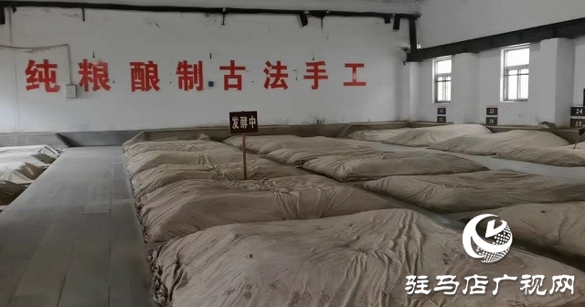 蔡洪坊酒业：开足马力忙生产 确保节日市场供应