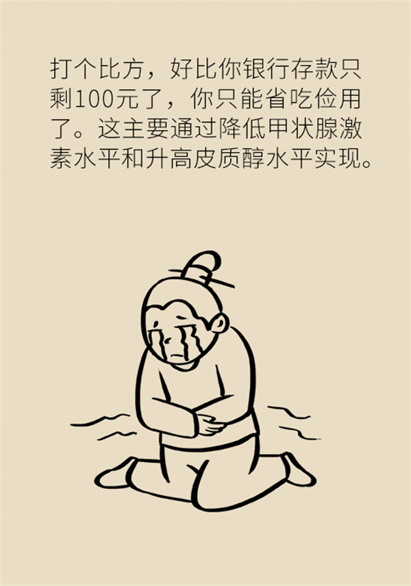 不吃晚饭减肥？专家提醒：体重或反弹更多