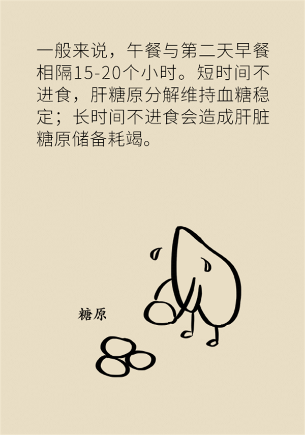 不吃晚饭减肥？专家提醒：体重或反弹更多