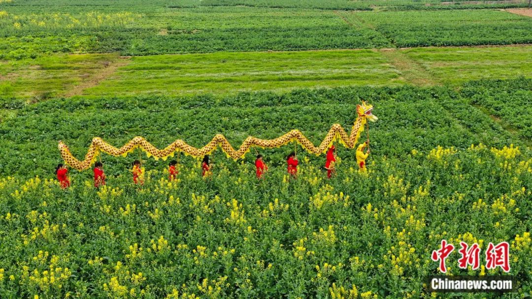 东西问丨萧放：“龙抬头”为何在“二月二”这一天？