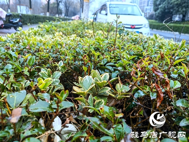 雨落天中 春意绽放