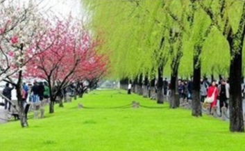 开春啦教你全方位呵护“小心肝”