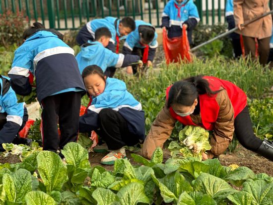 让雷锋精神在新时代绽放更加璀璨的光芒——全国各地第60个学雷锋纪念日活动综述