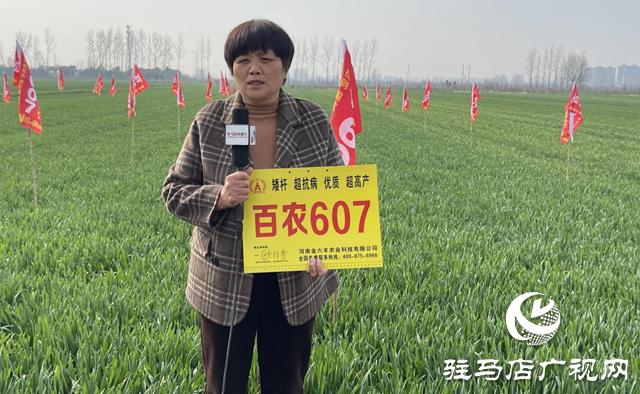 “百农607”小麦春季观摩订货会圆满举行
