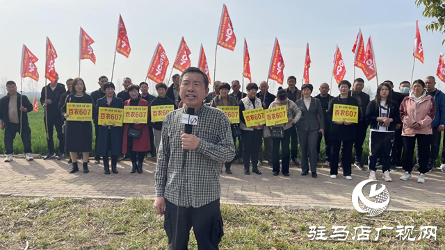 “百农607”小麦春季观摩订货会圆满举行