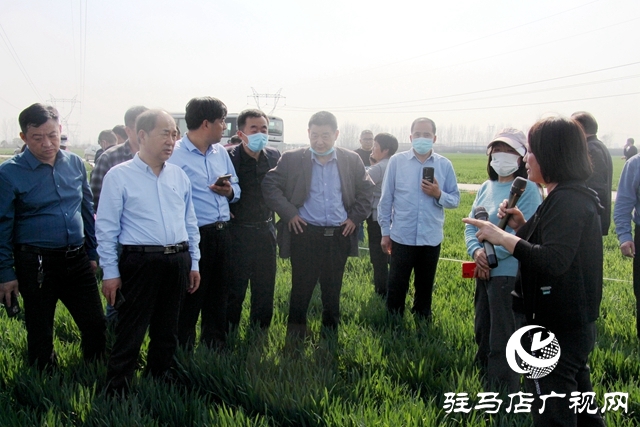 河南省麦田恶性杂草防控技术培训暨现场观摩活动在驻马店举行