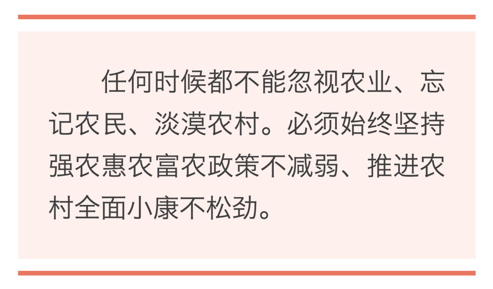 镜观·领航｜誓言铮铮为人民   ｜  暖心微视频｜牵挂总在问询间