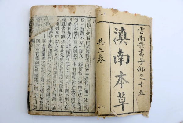国博闪“药”，探秘昆中药瑰宝 | 滇南本草
